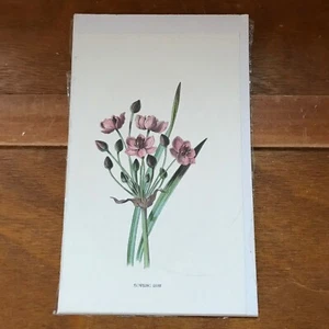 Vintage Flowering Rush Pink Floral Lithographie Druck aufgeklebt auf weißem Passepartout - Druck  - Bild 1 von 6