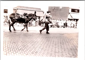 Prospector & Mule Parade 1940 Missoula MT vintage b&w photo - Picture 1 of 2