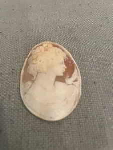 Beautiful Antique Victorian Hand Carved Cameo Shell - Exquisite Carving - ITALY - Picture 1 of 13