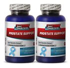 Standardized Saw Palmetto - Prostate Suport 1600Mg - 2 Bottle 120 Capsules