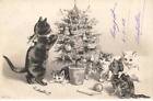 Cats AC #MK964 Cat And Kittens Decoration of / The Fir