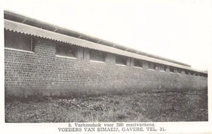 België - OUWEGEM Auwegem (O. Vl.) Van Simaelj Poultrij - Picture 1 of 2