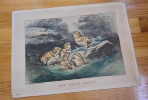 Currier & Ives Lithograph - The Infant Brood -small folio - C3099, G3308 - Picture 1 of 8