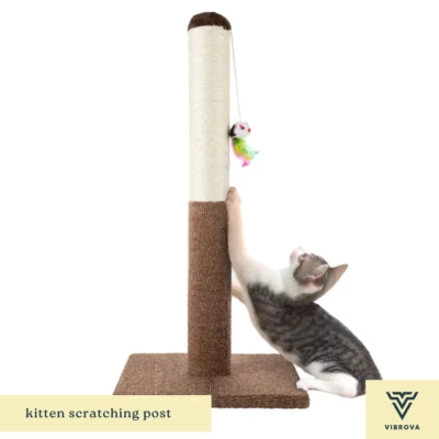 Kitten Scratching Post | Interactive Kitten Toy Post | Tall Scratcher with Sisal - Image 1 of 3