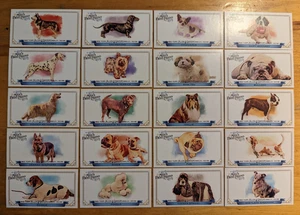 2012 Topps Allen and Ginter Mini Man's Best Friend Complete Set (20) Dogs - Picture 1 of 3