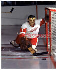 Detroit Red Wings Goalie Terry Sawchuk Goal Crease Action Color 8 X 10 Photo