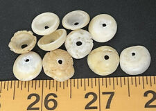 (10) Original Cherokee Indian Conch Shell Trade Bead Ancient Artifact Pre 1600s