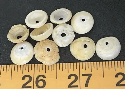 (10) Original Cherokee Indian Conch Shell Trade Bead Ancient Artifact Pre 1600s • 14.99$