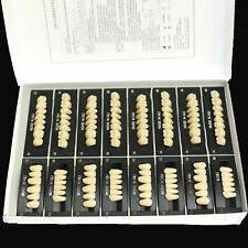 NUOVA protesi dentale completa denti finti in resina sintetica T8-A2 112 pezzi