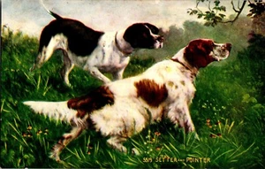 English Setter and Pointer Postcard Hunting Dogs 5519 Vintage Blank Dog Breeding - Picture 1 of 6