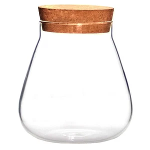 Botella de vidrio adornos viaje Miss terrario para tarro de musgo con tapa - Imagen 1 de 12