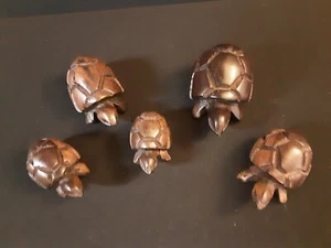 Handgeschnitzte Landschildkröte Familie aus dunklem Holz 5er Set - Bild 1 von 11