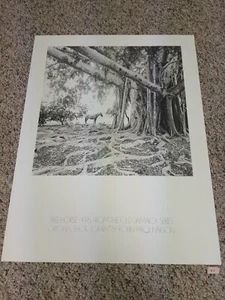 Kunstdruck Baum Pferd alte Jamacia Serie von Robin Farquharson - Bild 1 von 6