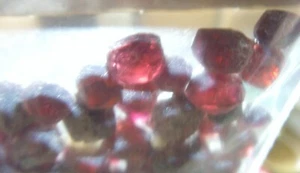 220 Karat TWT 50 Granat Kristalle Bergmineral Reiki Heiler Metaphysisch 53101 - Bild 1 von 7