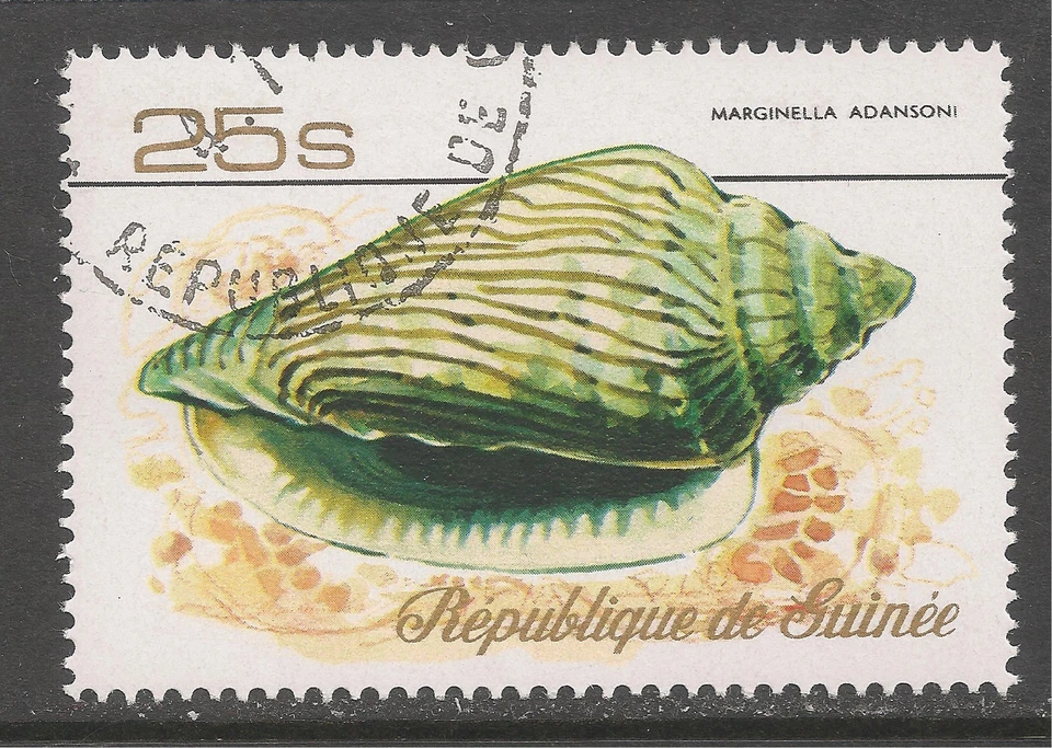 Guinea #737 VF USED - 1977 25s Sea Shells - Marginella Adansoni - Image 1 of 1