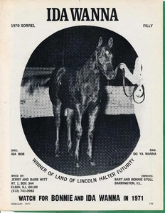 Anuncio de revista - 1971 - Witt Horse Farm, Elgin, IL - IDA WHENA - Imagen 1 de 1