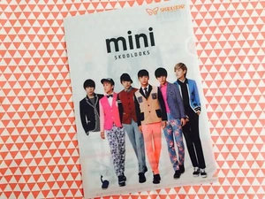 BAP Skoolooks (skool looks) promotion L file - Picture 1 of 2
