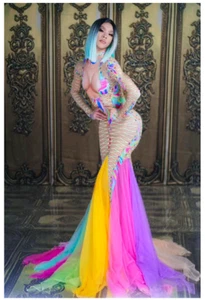 Rainbow Dress Costume Stage Wear Tulle Fishtail Drag Queen Nude Stretch Outfit - Picture 1 of 7