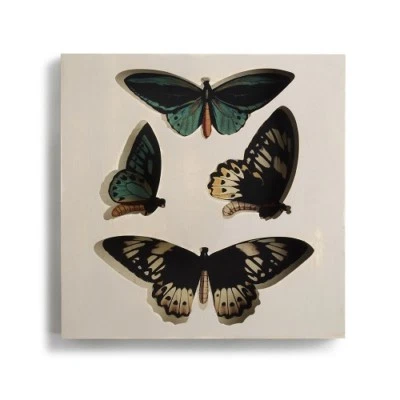 Nathan Murrell Collection Square Butterfly Shadow Box - Image 1 of 4