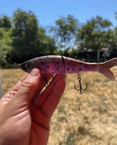 Custom Glide Bait S Waver 168 Style Color Shift  Juicy Trout - Picture 1 of 6