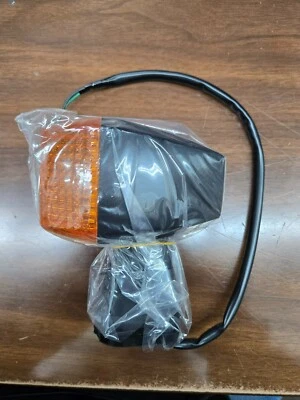 SEÑAL DE GIRO KAWASAKI OEM | 23037-1428 Foto 1 de 2