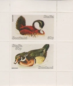 Birds Ducks Scotland MNH 5587 - Picture 1 of 1