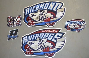CHOICE of: Richmond Riverdogs UHL Throwback Hockey Jersey Jacket Patch Crest - Picture 1 of 6