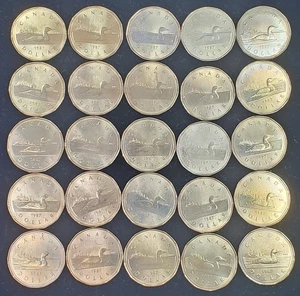 1987 Canada Loonie $25 Roll-First Year Issued-Circulated and Better Condition! - Picture 1 of 4