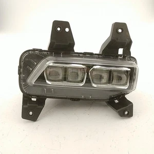 Light For Telluride 92202S9000 Like New OEM Assy Right - Picture 1 of 4