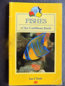 FISHES OF THE CARIBBEAN - Imagen 1 de 12