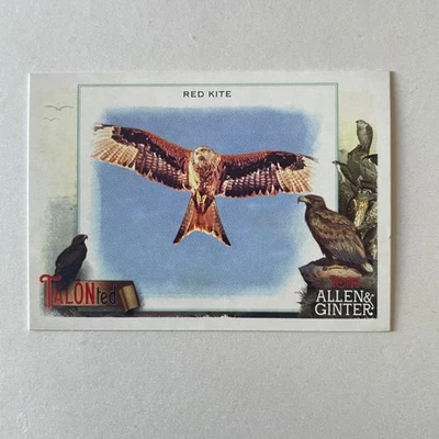 2023 Topps Allen & Ginter #TT-14 Red Kite Talonted - Image 1 of 2