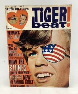 Tiger Beat Magazin Juni 1966 - Bild 1 von 8