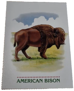 1994 Scholastic Trading Card American Bison Buffalo (H7 - Picture 1 of 2