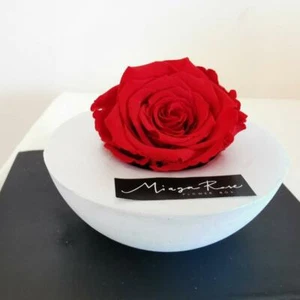 Rosa Stabilizzata Miaga Rose Base Fatta a Mano in Cofanetto Regalo San Valentino - Foto 1 di 16