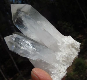 PRECIOSO RACIMO DE CRISTAL PORTAL ENLACE DE TIEMPO ALTA VIBRACIÓN CUARZO ACTINOLITA *8 - Imagen 1 de 10