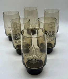 Set of 6 Pfaltzgraff Smoke Brown Tumbler Drinking Glasses Floral Etched - Picture 1 of 4