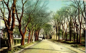 Vintage Massachusetts MA Postcard Acushnet Ave Lund's Corner New Bedford 1908 - Picture 1 of 3