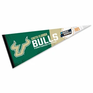 South Florida Bulls 12 in X 30 in 2025 Women's March Basketball Madness College - Picture 1 of 4