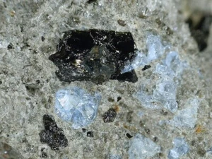 HAÜYNE from Eifel Mts., Germany *  STRONGLY FLUORESCENT * 2.6 cm - Picture 1 of 3