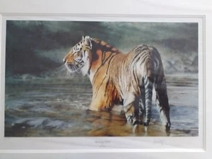 Paul Apps "Morning Glory" Tiger Limited Edition Print - 221/850 - Picture 1 of 4