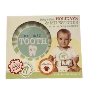 Baby's First Year Holidays and Milestones Stickers from Stepping Stones - Picture 1 of 2