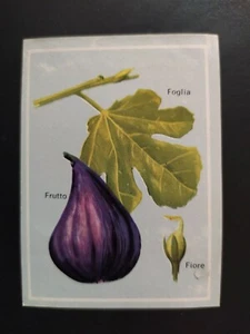 FIGURINA VITA E COLORE ED. MODERNA 1969 n. 220 OTTIMA DA RECUPERO - Bild 1 von 2