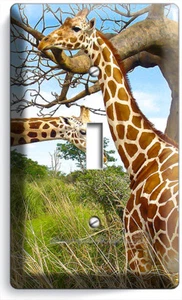AFRICAN GIRAFFE LOVE ANIMALS 1 GANG LIGHT SWITCH WALL PLATE COVER ROOM ART DECOR - Picture 1 of 1
