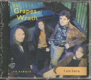 Ginger GRAPES OF WRATH I am Here 2 UNRELEASED & 2 MIXES CD single PINK FLOYD trk - Picture 1 of 1