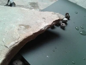 SIKA Premium PVC Teichfolie 1mm oliv 8,78€/m² Teichbau Teich, Reststücke - Bild 1 von 3