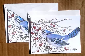Lote de 2 tarjetas de notas en blanco Blue Jay con sobres de arte John Cornacchio EE. UU. 1999 - Imagen 1 de 2