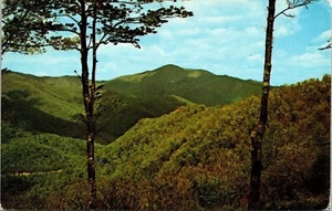 Postal de colección Cold Mountain Pisgah National Forest Carolina del Norte NC Mountains - Imagen 1 de 2