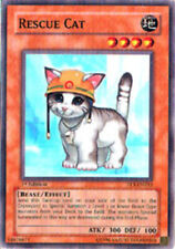 1x (P) Rescue Cat - FET-EN033 - Common - 1st Edition  YuGiOh