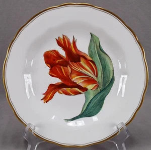 Royal Worcester Hand Colored Parrot Tulip & Gold 9 Inch Plate Circa 1941 - Picture 1 of 9