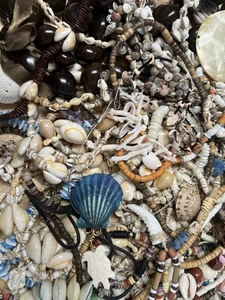 2.5 Lb Lot Necklace Seashell Puka Shell Cowrie Bracelet Hawaiian Abalone Shells - Bild 1 von 15